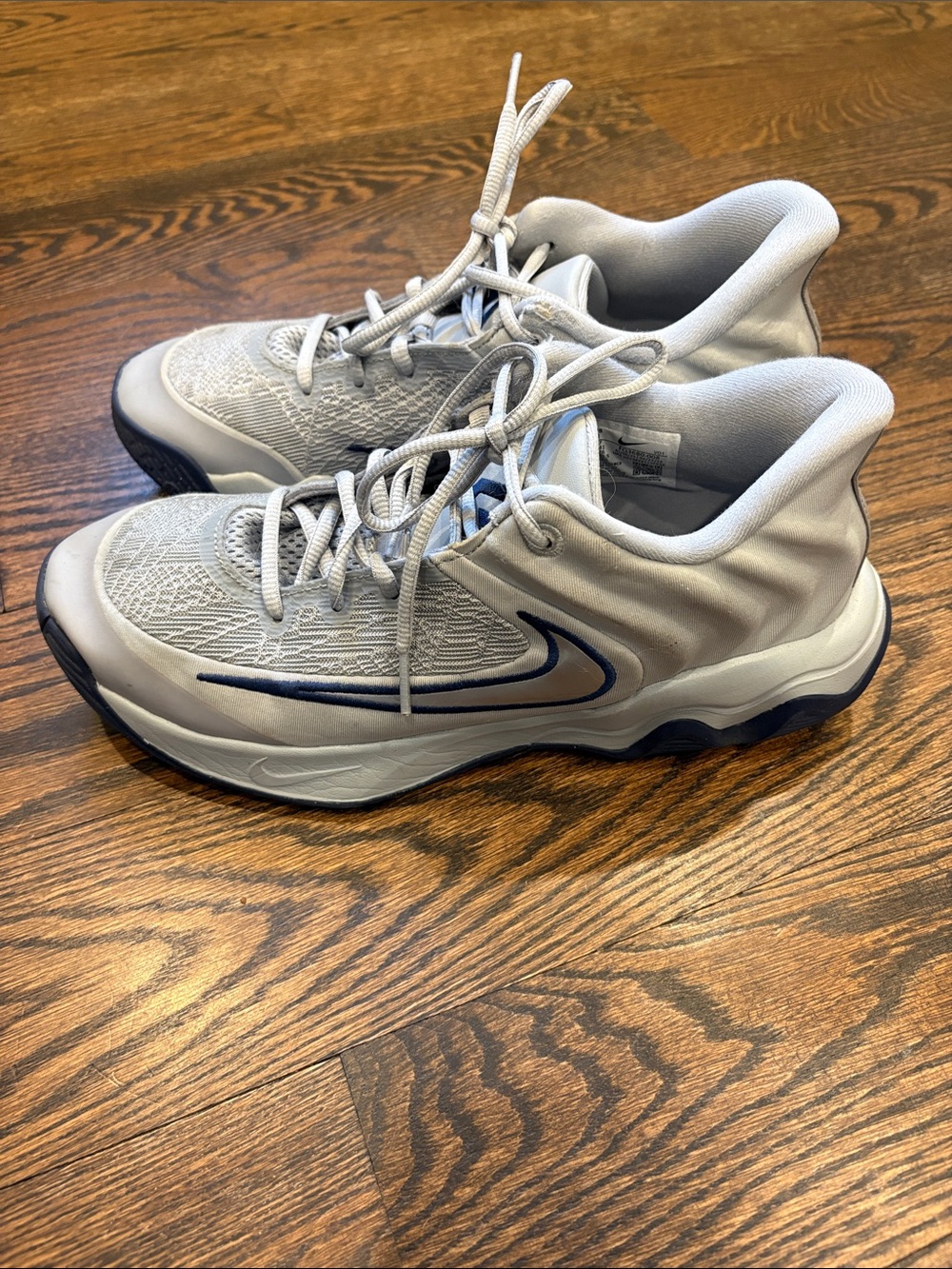 Nike Men’s Light Gray and Navy Low-Top Sneakers